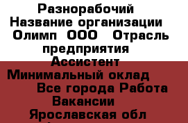 Разнорабочий › Название организации ­ Олимп, ООО › Отрасль предприятия ­ Ассистент › Минимальный оклад ­ 25 000 - Все города Работа » Вакансии   . Ярославская обл.,Фоминское с.